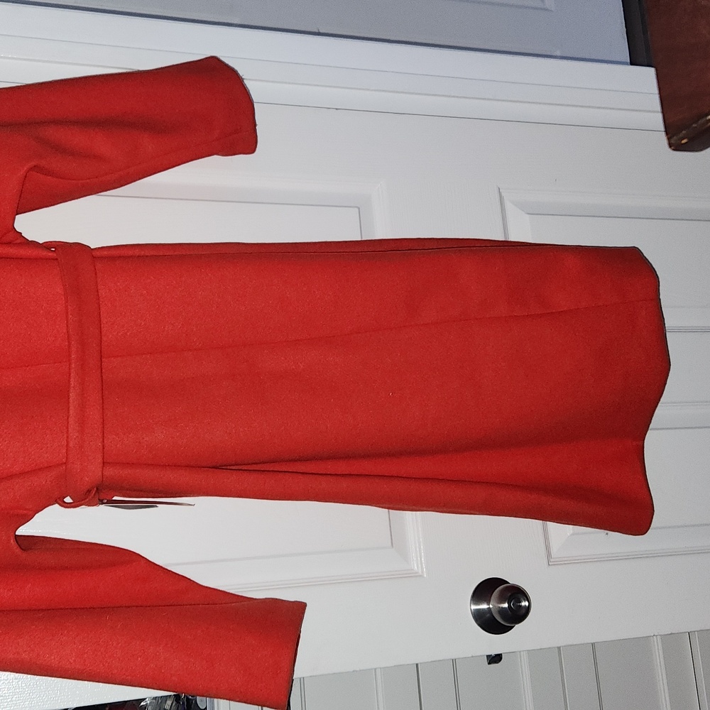 Beautiful Coat - Picture 6 of 6